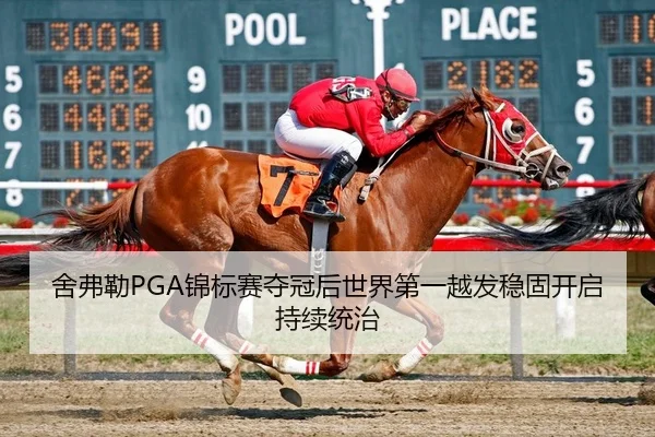 舍弗勒PGA锦标赛夺冠后世界第一越发稳固开启持续统治